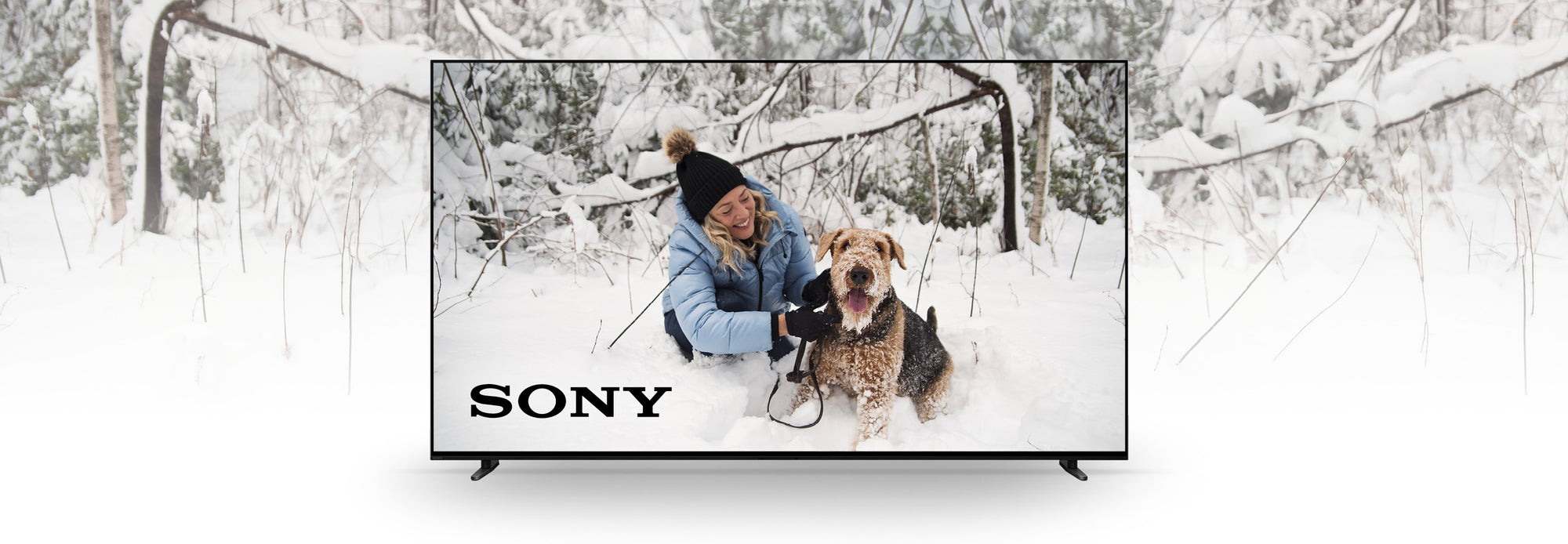 Sony | SONXPLUS Rimouski