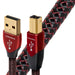 Audioquest Cinnamon | Câble USB A vers USB B - Version USB 2.0 - Conducteur en Argent massif à 1,25% - 1.5 Mètres-Sonxplus Rimouski