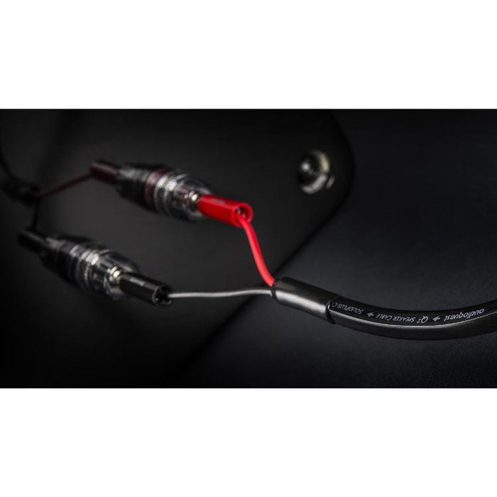 Audioquest Q2 | Câble haut-parleur - Conducteur interne en cuivre à grain long (LGC) - 10 Pieds-SONXPLUS Rimouski